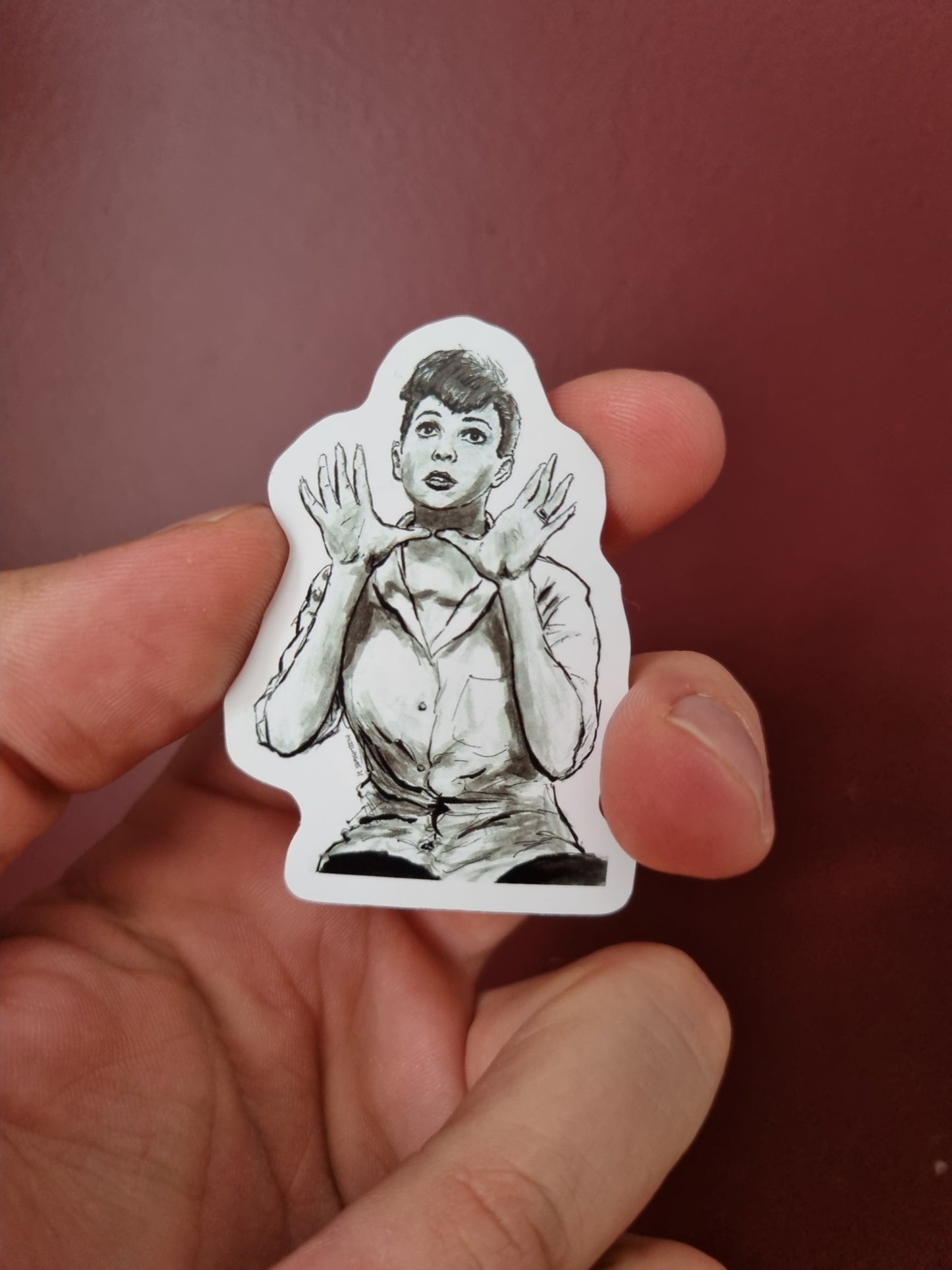 "A Star is Born from '54" Sticker